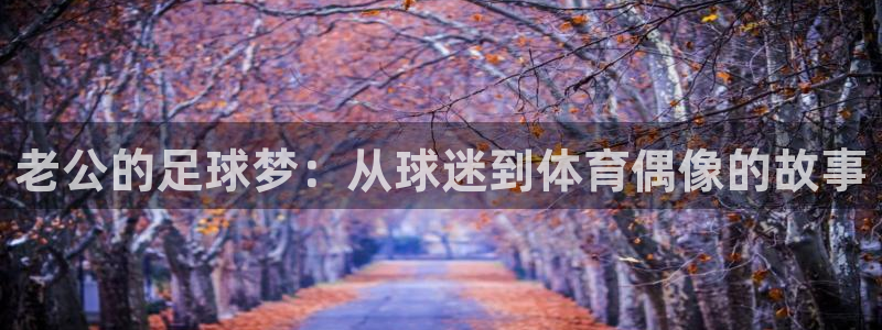 老公的足球梦：从球迷到体育偶像的故事