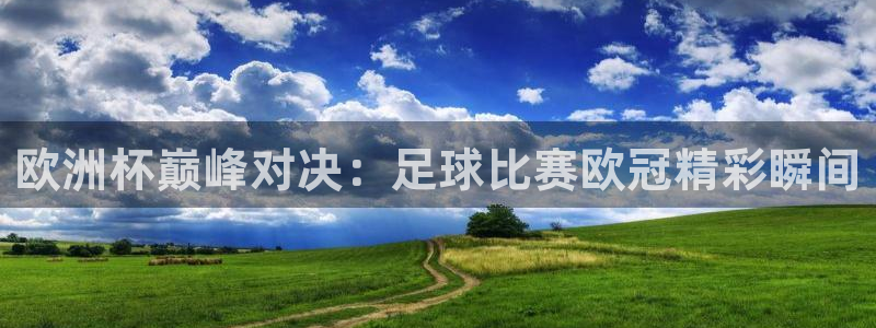  欧洲杯巅峰对决：足球比赛欧冠精彩瞬间