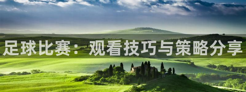  足球比赛：观看技巧与策略分享
