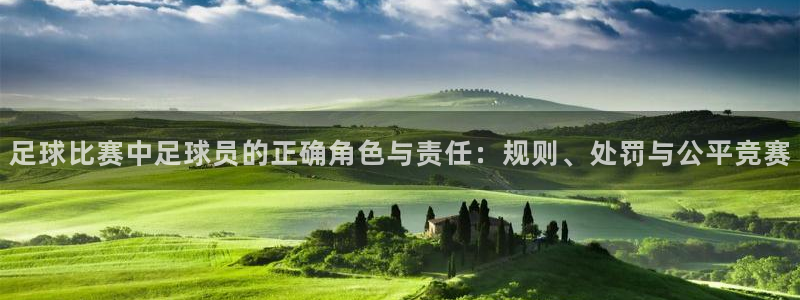  足球比赛中足球员的正确角色与责任：规则、处罚与公平竞赛