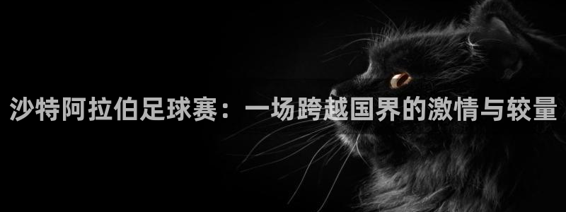  沙特阿拉伯足球赛：一场跨越国界的激情与较量