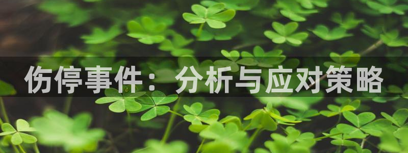  伤停事件：分析与应对策略