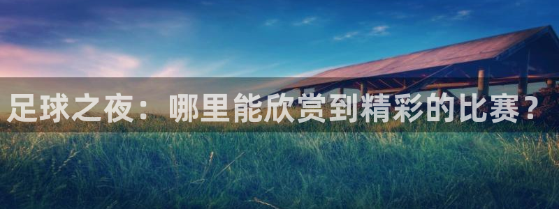  足球之夜：哪里能欣赏到精彩的比赛？