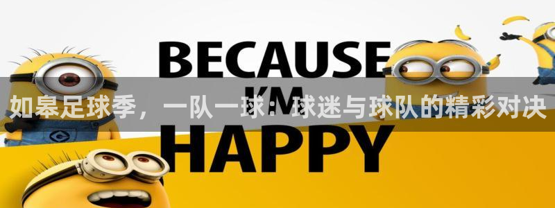 如皋足球季，一队一球：球迷与球队的精彩对决
