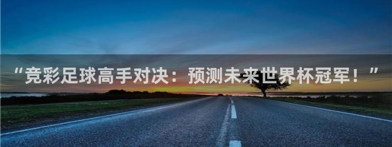  “竞彩足球高手对决：预测未来世界杯冠军！”