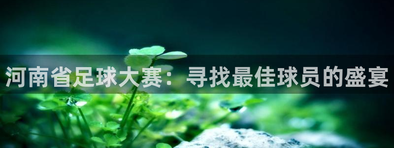 河南省足球大赛：寻找最佳球员的盛宴