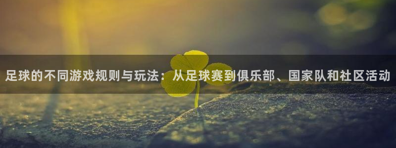 足球的不同游戏规则与玩法：从足球赛到俱乐部、国家队和社区活动