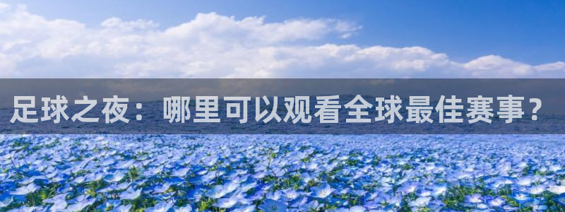 足球之夜：哪里可以观看全球最佳赛事？