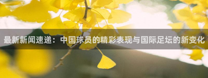 最新新闻速递：中国球员的精彩表现与国