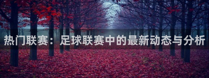 热门联赛：足球联赛中的最新动态与分析