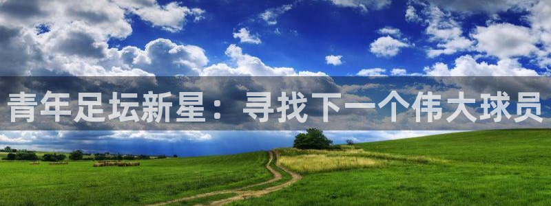 青年足坛新星：寻找下一个伟大球员