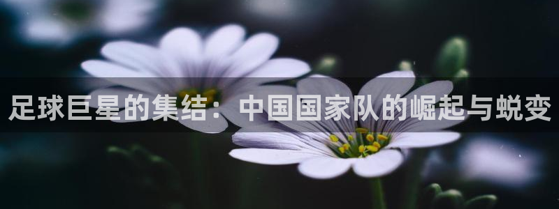 足球巨星的集结：中国国家队的崛起与蜕