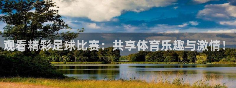 观看精彩足球比赛：共享体育乐趣与激情！