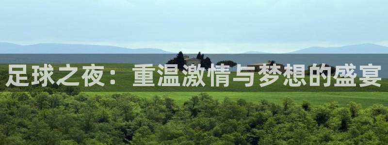 足球之夜：重温激情与梦想的盛宴