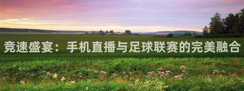 竞速盛宴：手机直播与足球联赛的完美融合