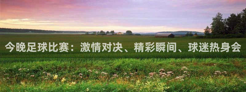 今晚足球比赛：激情对决、精彩瞬间、球
