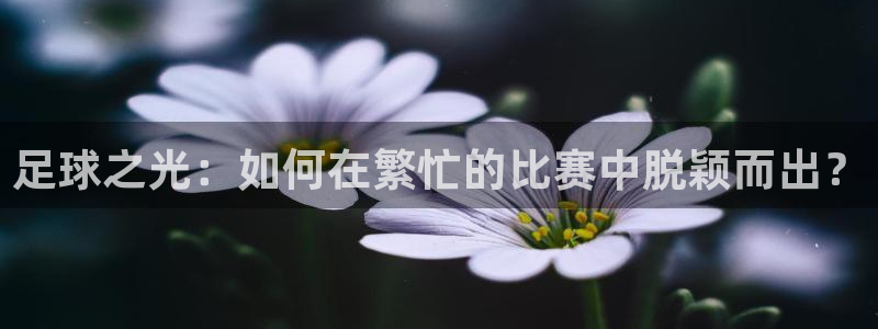 足球之光：如何在繁忙的比赛中脱颖而出