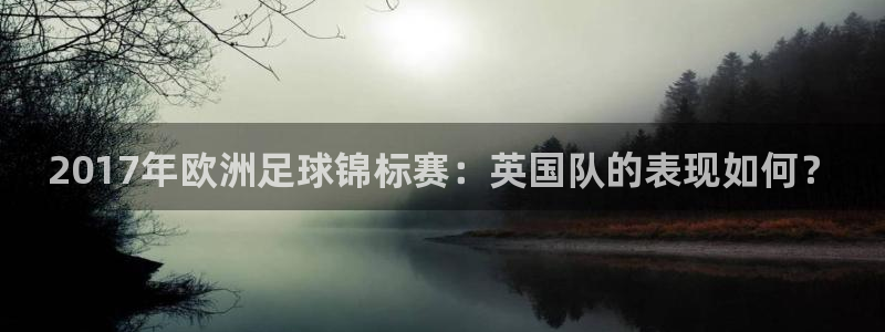 2017年欧洲足球锦标赛：英国队的表现如何？