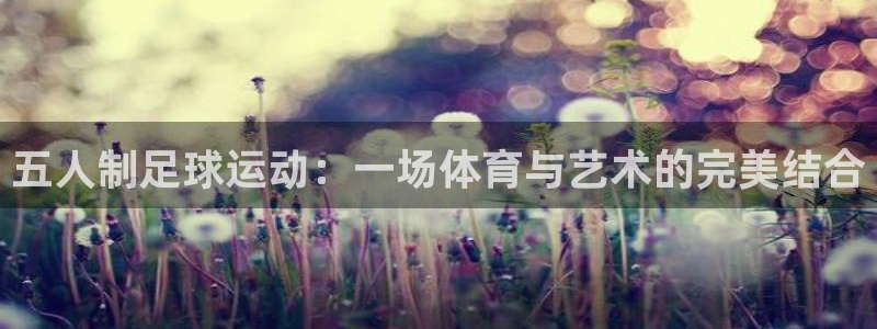五人制足球运动：一场体育与艺术的完美结合