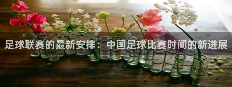 足球联赛的最新安排：中国足球比赛时间的新进展