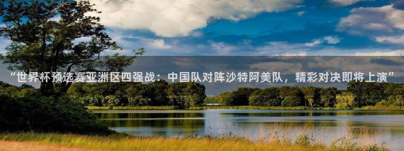 “世界杯预选赛亚洲区四强战：中国队对