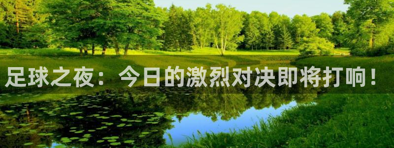 足球之夜：今日的激烈对决即将打响！