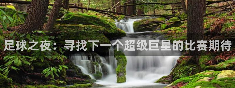 足球之夜：寻找下一个超级巨星的比赛期
