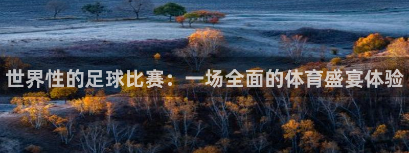 世界性的足球比赛：一场全面的体育盛宴