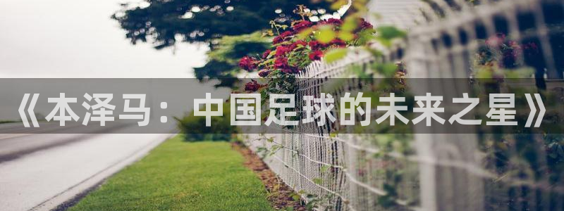 《本泽马：中国足球的未来之星》