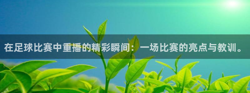 在足球比赛中重播的精彩瞬间：一场比赛